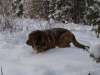 Filename=PB285355.JPG
Filesize=163KiB
Dimensions=600x450
Date added=%826 %01, %2010 PB285355.JPG