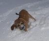 Filename=PC105420.JPG
Filesize=119KiB
Dimensions=600x513
Date added=%801 %10, %2010 PC105420.JPG