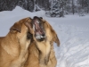 Filename=PC105450.JPG
Filesize=135KiB
Dimensions=600x450
Date added=%799 %10, %2010 PC105450.JPG