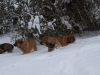 Filename=PC105562.JPG
Filesize=166KiB
Dimensions=600x450
Date added=%808 %10, %2010 PC105562.JPG