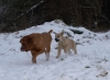 Filename=PC217144.JPG
Filesize=172KiB
Dimensions=700x517
Date added=%942 %27, %2009 PC217144.JPG
