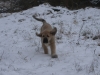 Filename=PC217152.JPG
Filesize=208KiB
Dimensions=700x525
Date added=%943 %27, %2009 PC217152.JPG