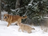 Filename=PC277531.JPG
Filesize=282KiB
Dimensions=750x562
Date added=%939 %27, %2009 PC277531.JPG