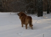 Filename=PC277534.JPG
Filesize=250KiB
Dimensions=850x637
Date added=%938 %27, %2009 PC277534.JPG
