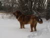 Filename=PC277565.JPG
Filesize=266KiB
Dimensions=850x646
Date added=%936 %27, %2009 PC277565.JPG