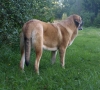 Filename=adele10,5m-4.jpg
Filesize=175KiB
Dimensions=550x495
Date added=%775 %14, %2009 adele10,5m-4.jpg