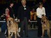 Filename=elton,neron.JPG
Filesize=195KiB
Dimensions=500x375
Date added=%405 %05, %2008 elton,neron.JPG