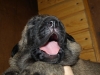 Filename=f-2,4.jpg
Filesize=85KiB
Dimensions=500x375
Date added=%983 %04, %2008 f-2,4.jpg