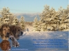 Filename=kaart2010.jpg
Filesize=122KiB
Dimensions=800x600
Date added=%982 %21, %2009 kaart2010.jpg