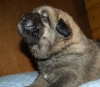 Filename=m-1,3.jpg
Filesize=119KiB
Dimensions=500x439
Date added=%982 %04, %2008 m-1,3.jpg