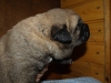 Filename=m-7,8.jpg
Filesize=104KiB
Dimensions=500x375
Date added=%979 %04, %2008 m-7,8.jpg