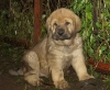 Filename=male02,12.jpg
Filesize=245KiB
Dimensions=450x371
Date added=%659 %06, %2008 male02,12.jpg