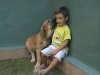 Filename=mastines_013.jpg
Filesize=103KiB
Dimensions=640x480
Date added=%547 %28, %2007 mastines_013.jpg