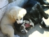 DSC00015.JPG