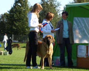 Charisma Zaark Mastibe- fulfilled FINNISH CHAMPION 12.09.09 in Finland, Helsinki
Arak Z Kraje Sokolu x Amiga Zazi Bis Mastibe
Keywords: zarmon