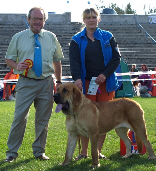 JCH. Zarmon de Celly Alizee in Int. dog show Tallinn 22.08.2010 - exc.1, BOB Junior, BOB Judge: Rafael Malo Alcrudo, Spain
Keywords: zarmon