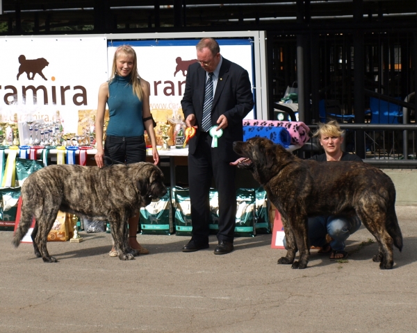 CH. Julia Mastibe & CH. Indiano Mastibe - Mastiffs Speciality show in Estonia 15.5.2010 
Keywords: 2010 zarmon