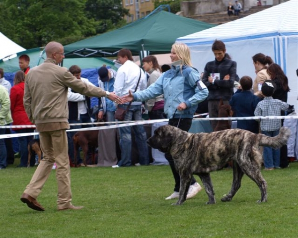 Julia Mastibe, exc. 1, Best female, CACIB, BOB, Estonian Winner 2009
Keywords: 2009 zarmon