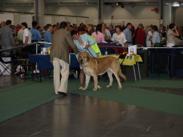 03.07.2008 - World Dog Show, Stockholm, Sweden
