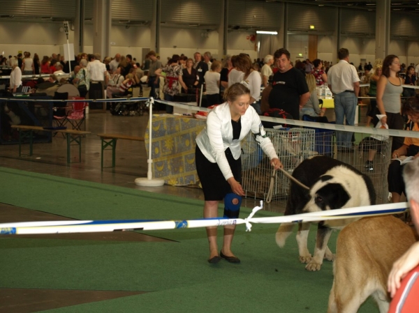 03.07.2008 - World Dog Show, Stockholm, Sweden
Photo: Zarmon de Celly
