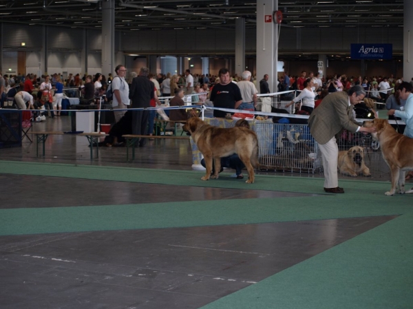 03.07.2008 - World Dog Show, Stockholm, Sweden
