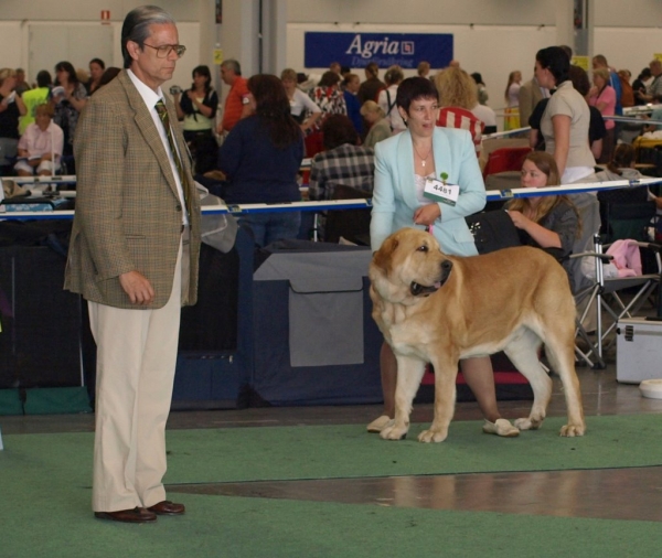 03.07.2008 - World Dog Show, Stockholm, Sweden
