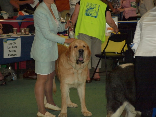 03.07.2008 - World Dog Show, Stockholm, Sweden
