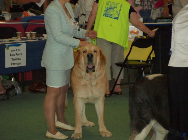 03.07.2008 - World Dog Show, Stockholm, Sweden
