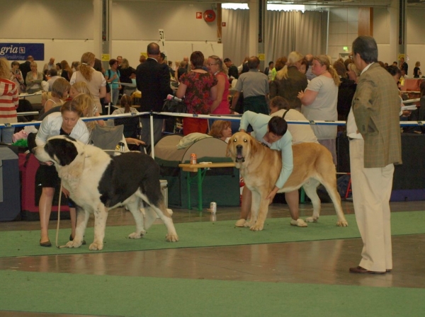 03.07.2008 - World Dog Show, Stockholm, Sweden
