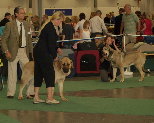 03.07.2008 - World Dog Show, Stockholm, Sweden
