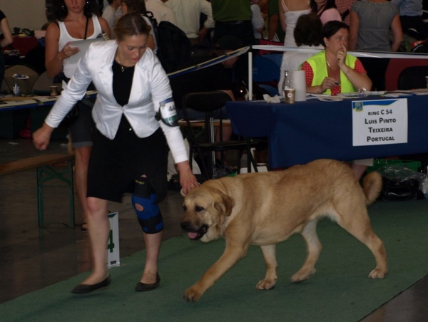 JWW`08  03.07.2008 - World Dog Show, Stockholm, Sweden
