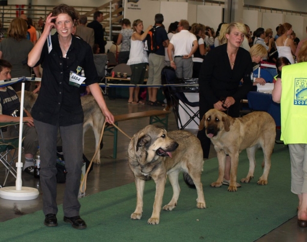 03.07.2008 - World Dog Show, Stockholm, Sweden
