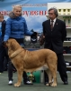 Filename=08280280.JPG
Filesize=504KiB
Dimensions=818x1024
Date added=%535 %01, %2010 08280280.JPG