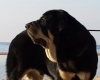 Filename=1.jpg
Filesize=44KiB
Dimensions=720x578
Date added=%856 %11, %2010 1.jpg