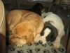Filename=2.jpg
Filesize=56KiB
Dimensions=720x540
Date added=%856 %11, %2010 2.jpg