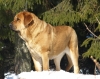 Filename=Alizee-3.JPG
Filesize=506KiB
Dimensions=1568x1252
Date added=%743 %31, %2011 Alizee-3.JPG