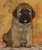 Fiona_5_weeks-6.JPG