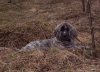 Filename=Julia_2_kuud.jpg
Filesize=1047KiB
Dimensions=1606x1159
Date added=%856 %27, %2008 Julia_2_kuud.jpg