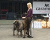 Filename=Julka.jpg
Filesize=91KiB
Dimensions=960x769
Date added=%498 %06, %2012 Julka.jpg