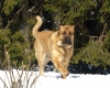 Filename=Sara-1.JPG
Filesize=447KiB
Dimensions=1377x1102
Date added=%738 %31, %2011 Sara-1.JPG
