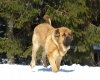 Filename=Sara-2.JPG
Filesize=549KiB
Dimensions=1637x1310
Date added=%738 %31, %2011 Sara-2.JPG