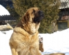 Filename=Sara-3.JPG
Filesize=149KiB
Dimensions=1024x820
Date added=%756 %31, %2011 Sara-3.JPG