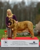 Filename=Sara_BOB.jpg
Filesize=94KiB
Dimensions=769x960
Date added=%262 %06, %2012 Sara_BOB.jpg
