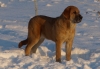 Filename=alizee_6_months.JPG
Filesize=213KiB
Dimensions=1212x841
Date added=%976 %08, %2010 alizee_6_months.JPG