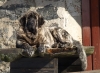 Filename=mummu.jpg
Filesize=438KiB
Dimensions=1500x1108
Date added=%494 %06, %2010 mummu.jpg