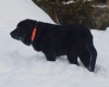 Filename=quirin1.jpg
Filesize=49KiB
Dimensions=720x577
Date added=%004 %06, %2010 quirin1.jpg