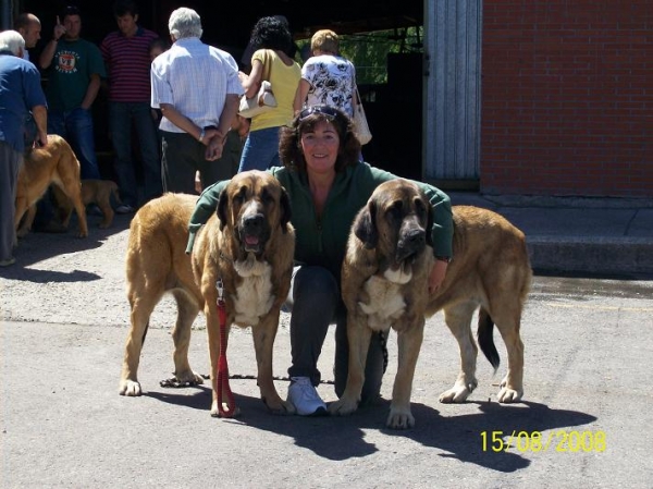 Montse con Boca y Zeltia de Basillon - recuerdo de Villablino 08
Keywords: basillon concurso mastines