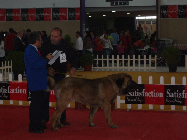 Atila de Basillon
de concurso en Badajoz 2010
