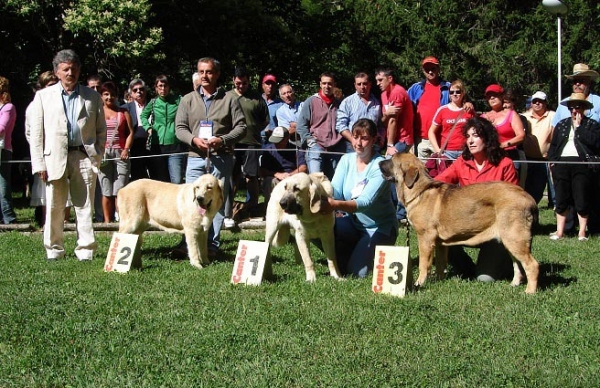 campeonato de León 07
resultados CC. Hembras - Barrios de Luna
Keywords: mastin