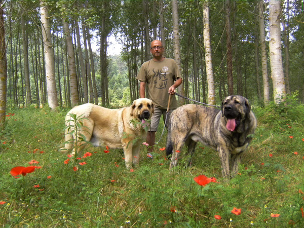 Loba y Gandalf
Keywords: Cerro del Viento Sabas Girona EspaÃ±a